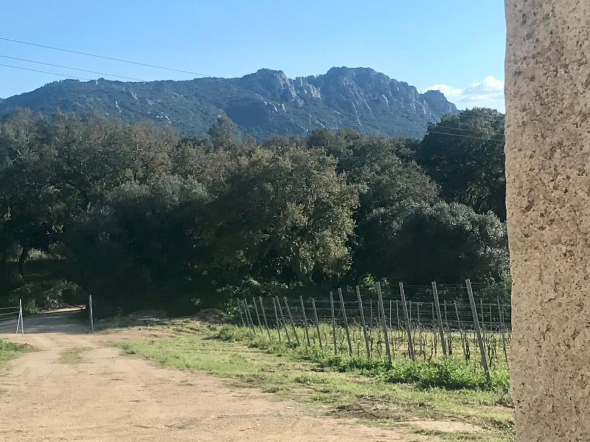 Elegant Country Open Space Deluxe Tenuta Piredu -Monti-Olbia Exterior photo